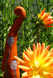 Beetstecker orange - Dahlie Kaktus