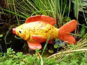 Wasserspeier Fisch -  gelb